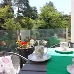 Gizella 발라톤페니베스