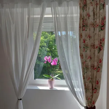 Gizella Balatonfenyves