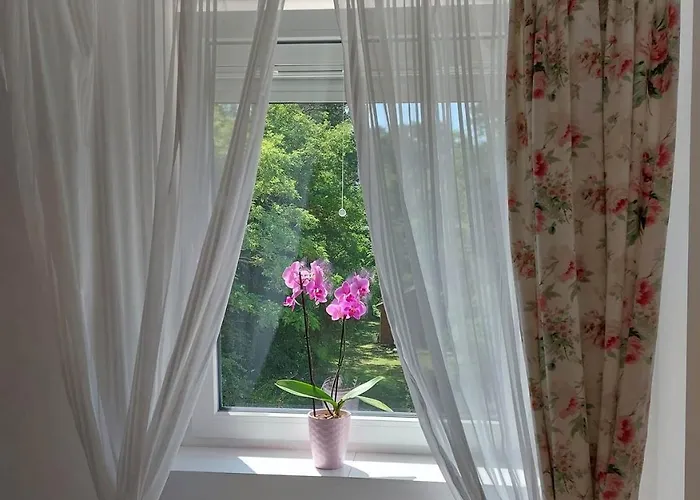 Gizella 발라톤페니베스