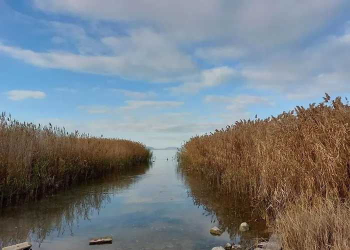 Gizella Daire Balatonfenyves