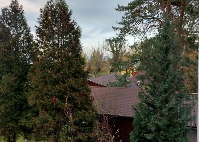 Gizella * 발라톤페니베스